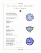 Jewelry 3 D Scan Report