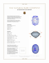 Jewelry 3 D Scan Report