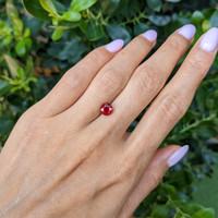 1.71 Ct. Ruby from Mozambique Life Style