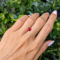 1.30 Ct. Ruby from Mozambique Life Style