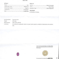 Jewelry Scan Report