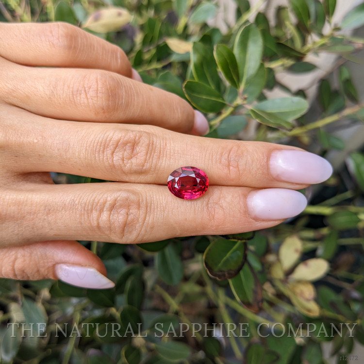 5.00 Ct. Ruby from Mozambique