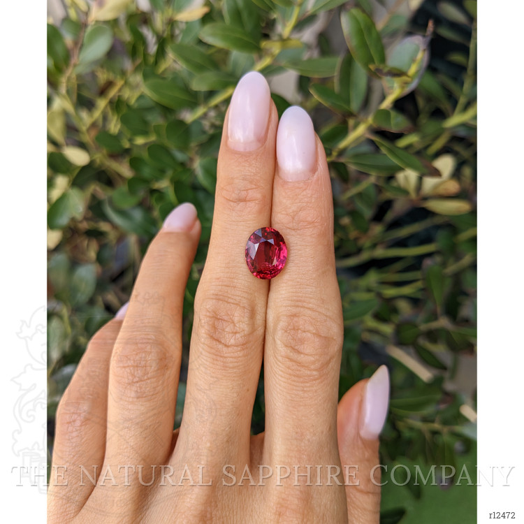 5.00 Ct. Ruby from Mozambique