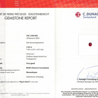 Jewelry Scan Report