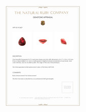 0.75 Ct. Ruby from Mozambique Appraisal