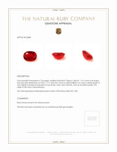 3.19 Ct. Ruby from Mozambique Appraisal