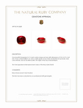 4.13 Ct. Ruby from Mozambique Appraisal