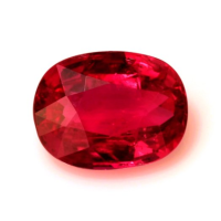 Pave Ruby Ring 2.05 Ct., 18K White Gold Combination Stone