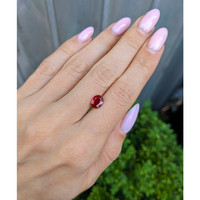 1.48 Ct. Ruby from Burma (Myanmar) Life Style
