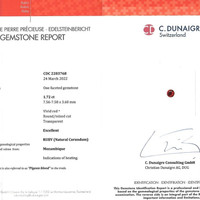 Jewelry Scan Report