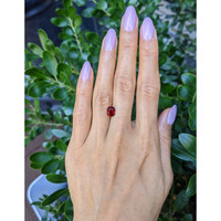1.85 Ct. Ruby from Mozambique Life Style