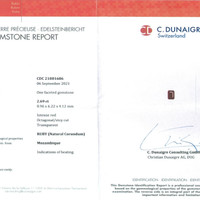 Jewelry Scan Report