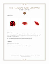 Jewelry Appraisal