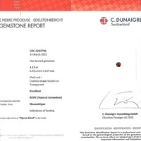 Jewelry Scan Report