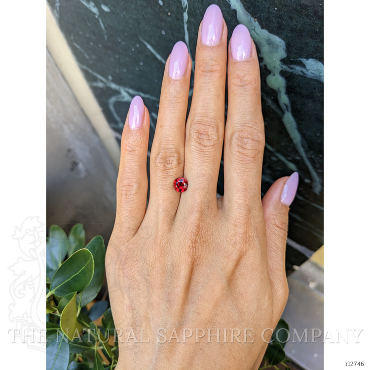 1.12 Ct. Ruby from Mozambique
