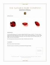 Jewelry Appraisal