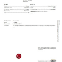 Jewelry Scan Report