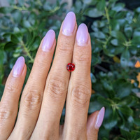 1.26 Ct. Ruby from Mozambique Life Style