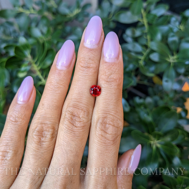 1.26 Ct. Ruby from Mozambique