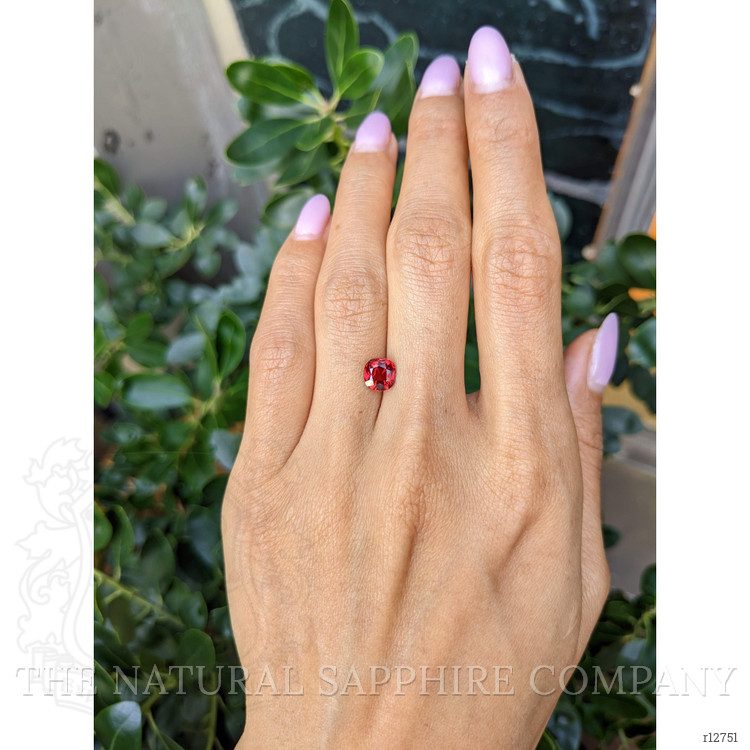 1.48 Ct. Ruby from Mozambique