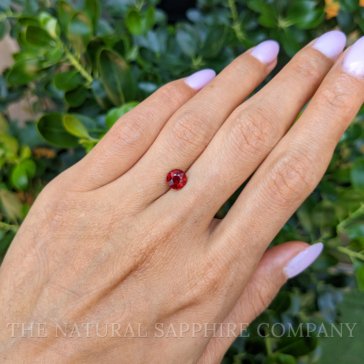 1.56 Ct. Ruby from Mozambique