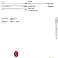 Jewelry Scan Report