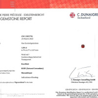 Jewelry Scan Report