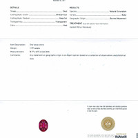 Jewelry Scan Report