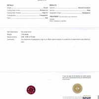 Jewelry Scan Report