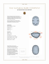 Jewelry 3 D Scan Report