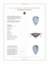 Jewelry 3 D Scan Report