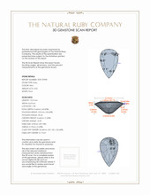 Jewelry 3 D Scan Report