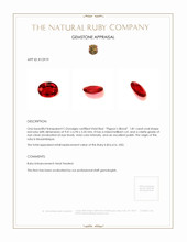 1.81 Ct. Ruby from Mozambique Appraisal