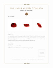Jewelry Appraisal