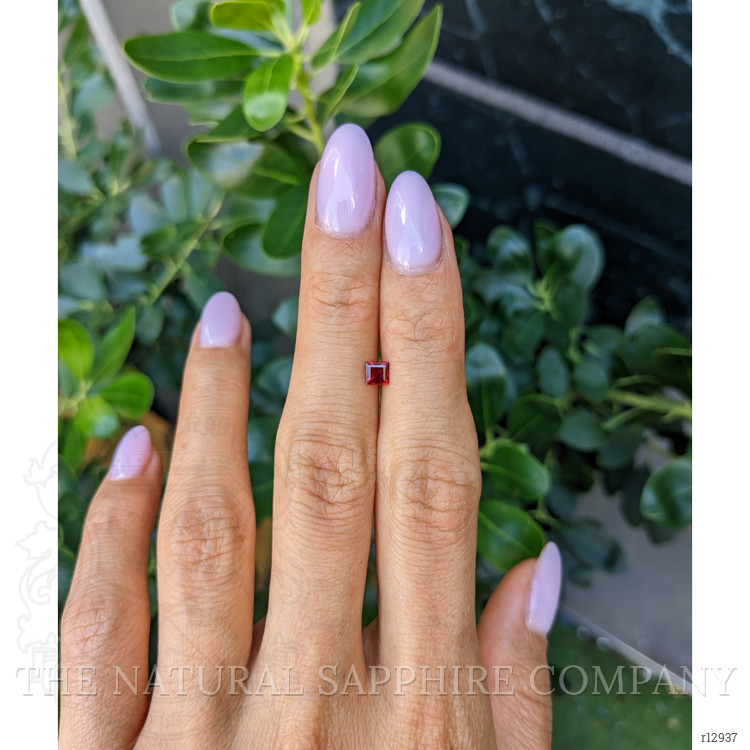 0.33 Ct. Ruby from Mozambique