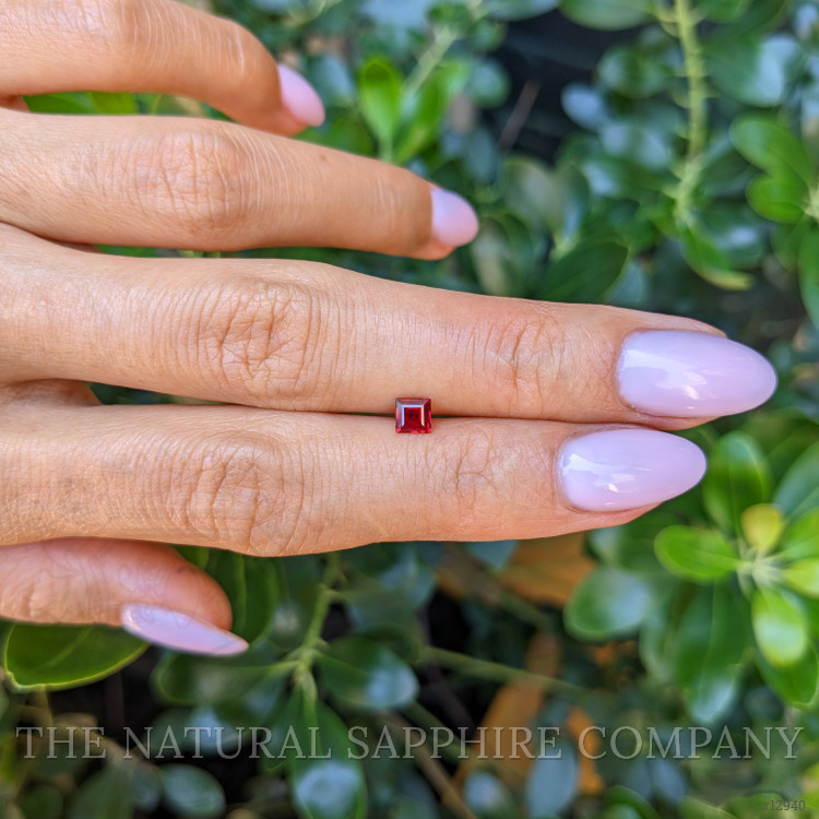 0.38 Ct. Ruby from Mozambique