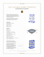 Jewelry 3 D Scan Report