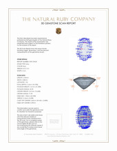 Jewelry 3 D Scan Report