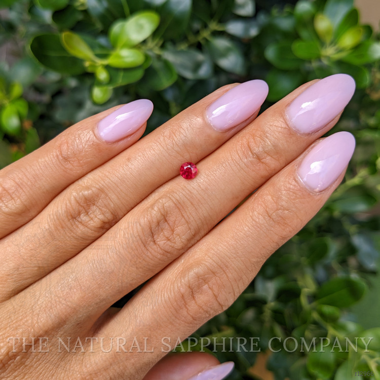 0.44 Ct. Ruby from Mozambique