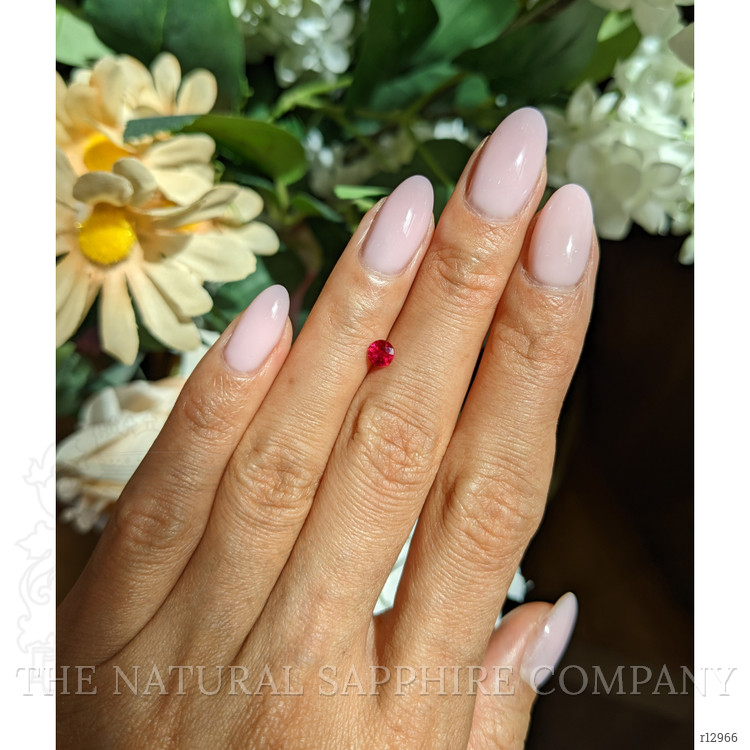 0.44 Ct. Ruby from Mozambique
