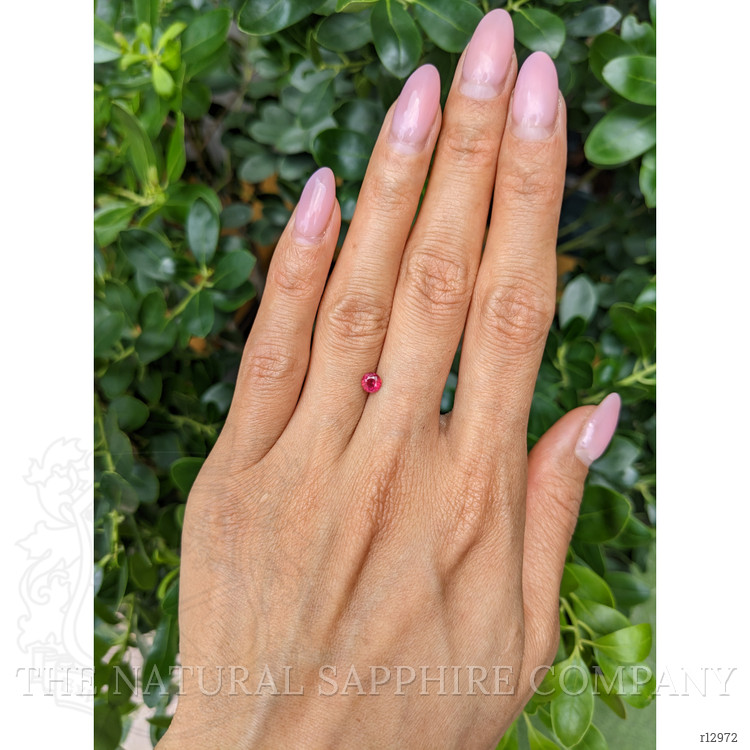 0.45 Ct. Ruby from Mozambique
