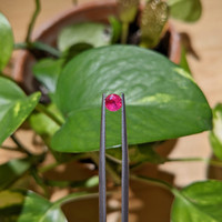 0.44 Ct. Ruby from Mozambique Life Style