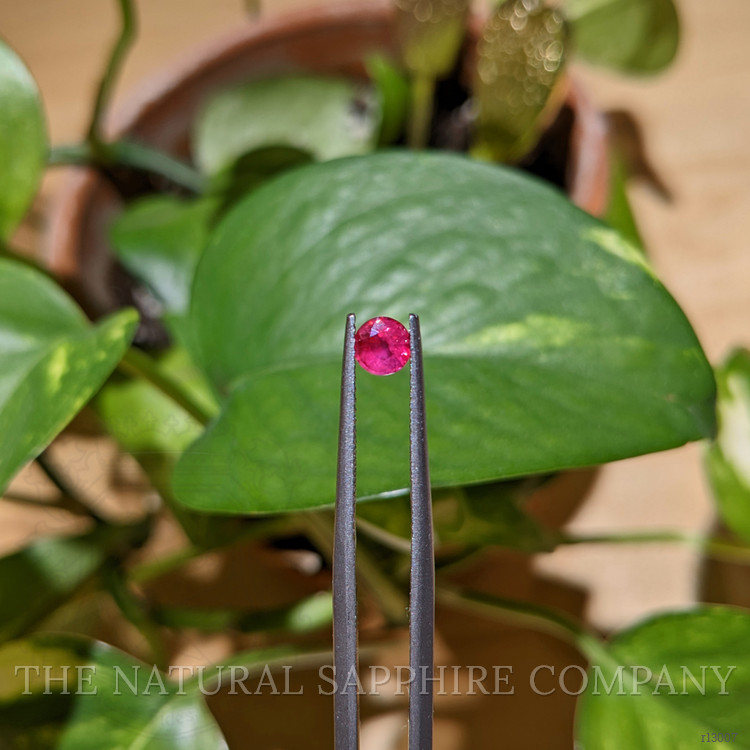 0.44 Ct. Ruby from Mozambique