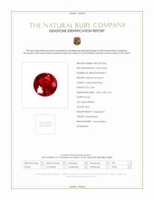 Jewelry Scan Report
