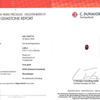 Jewelry Scan Report