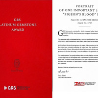 10.05 Ct. Ruby from Mozambique Scan Report