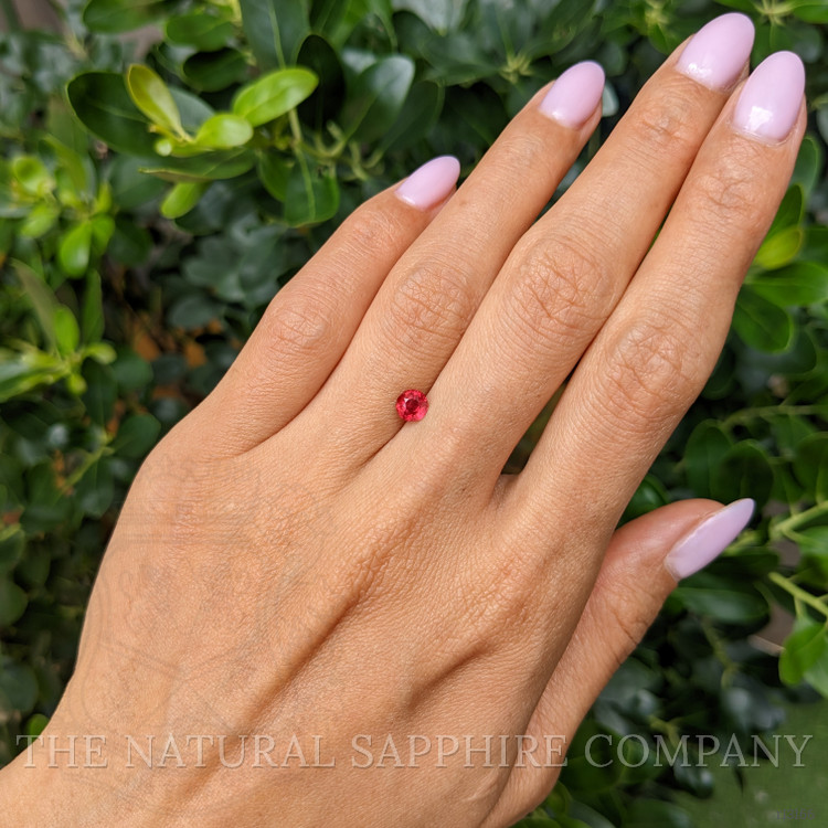 0.66 Ct. Ruby from Mozambique