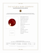Jewelry Scan Report