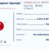 Jewelry Scan Report