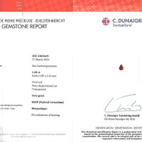 Jewelry Scan Report
